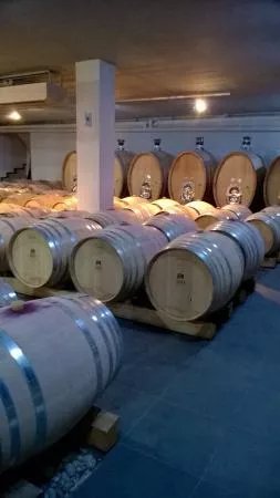 Gaia Winery