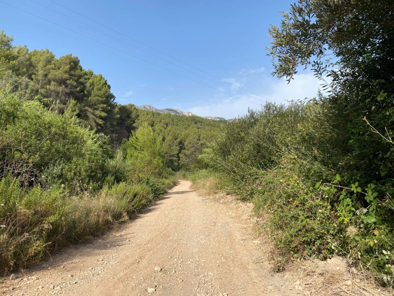 Casa Mika El Molinet