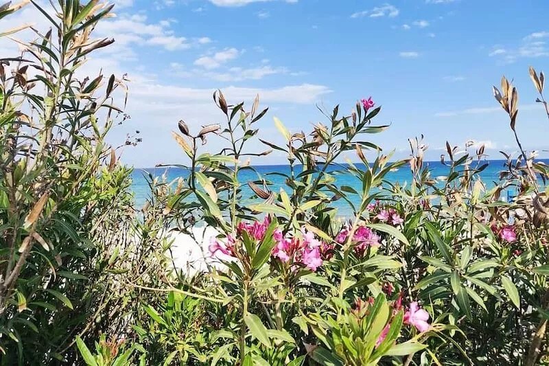 LidoNoto the sun and the nature of Sicily / lastminute 21-30 September 2017