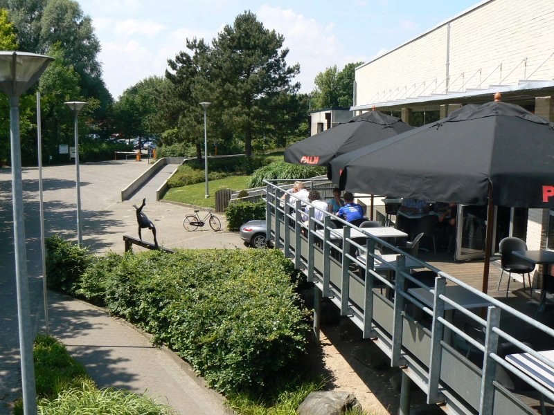 Breeven Sportkafee