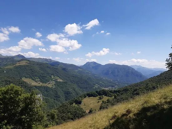 Il Sentiero dei Grandi Alberi