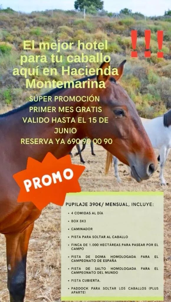 Restaurante Hacienda MonteMarina