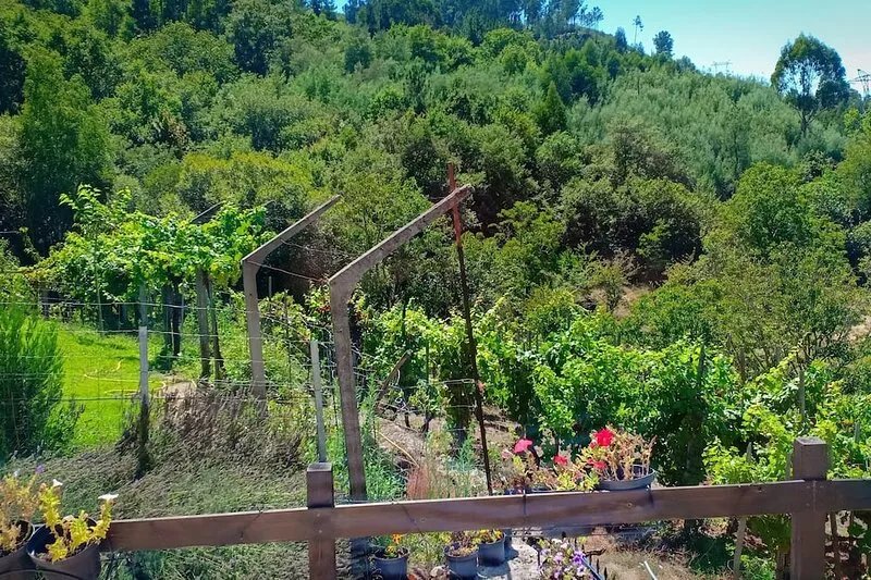 CASA DA VIÑA (Nogueira de Ramuín - Ourense) Ribeira Sacra