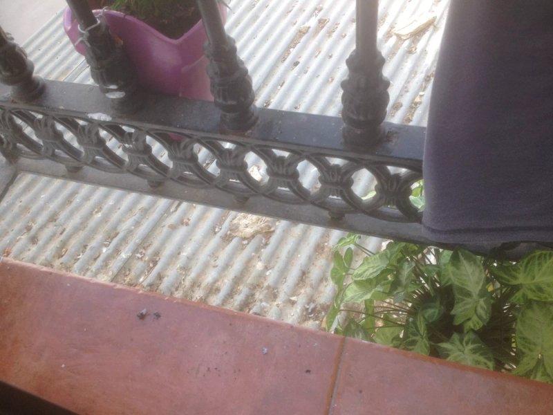 Residencia El Tajo