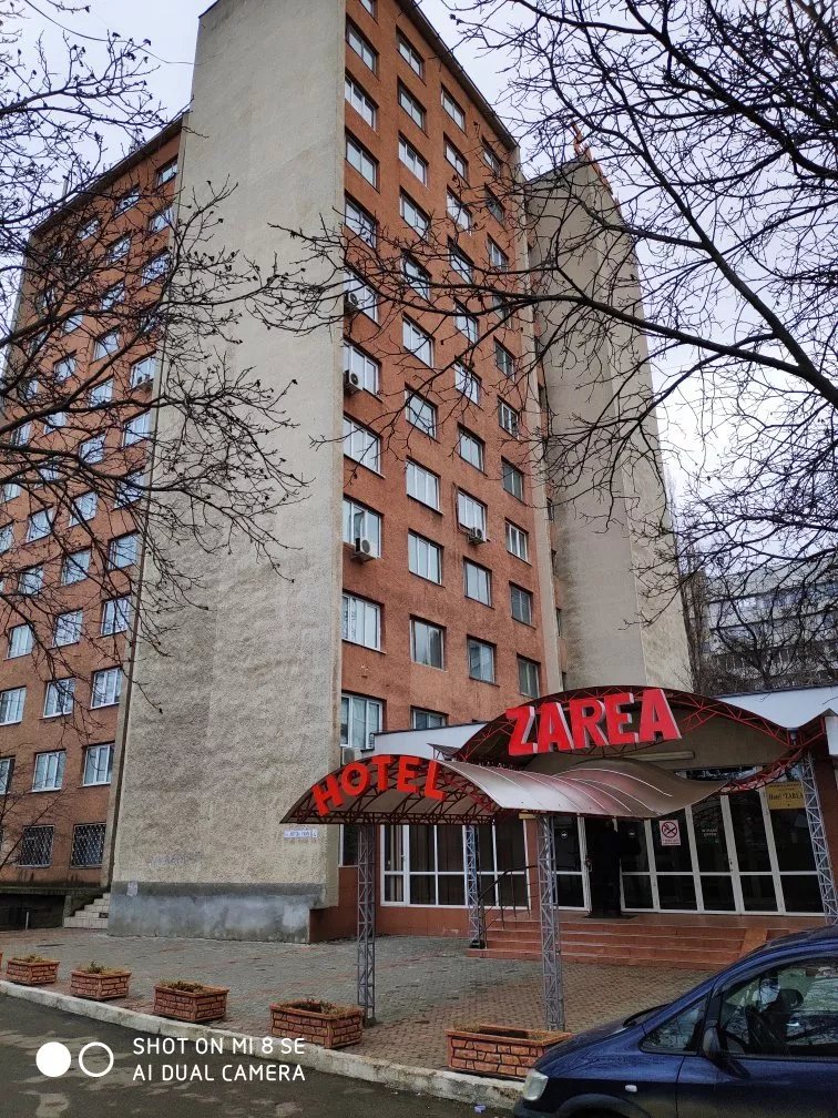 Zarea