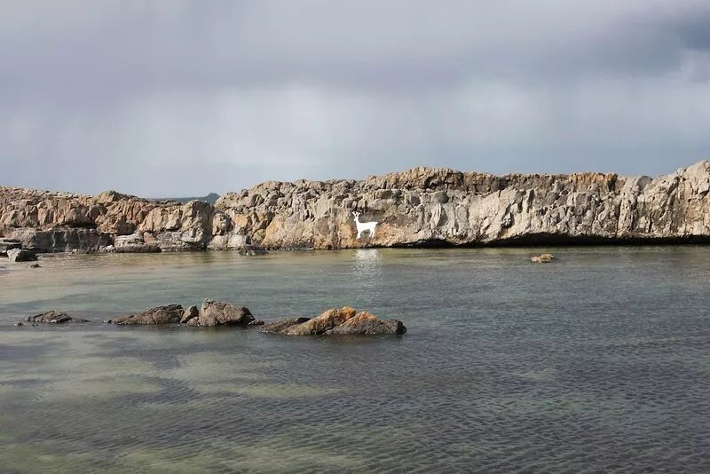 Seaside House, ideally located on the edge of the coastal village of Seahouses