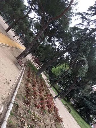 Parque de Breogan