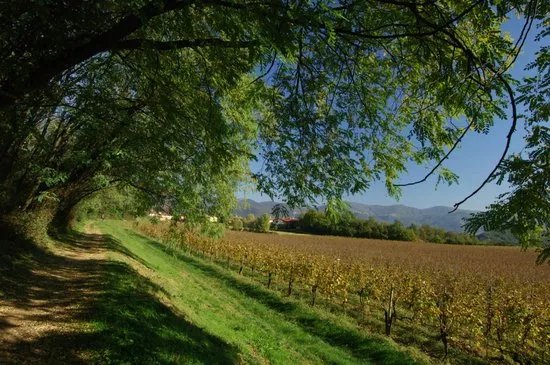 Strada del Vino Franciacorta (Franciacorta wine route)