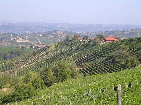 Azienda Agricola Ressia