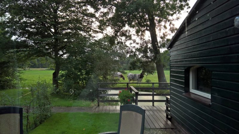 Rijnhoeve