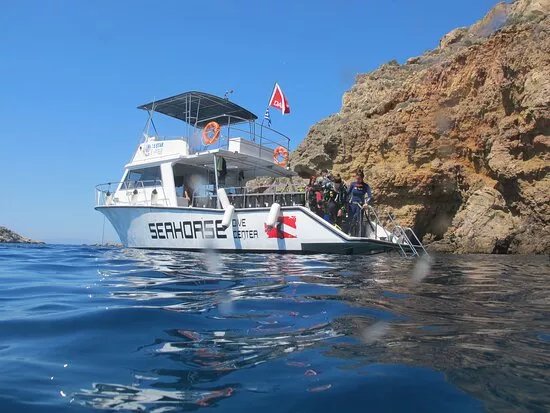 Seahorse Dive Center