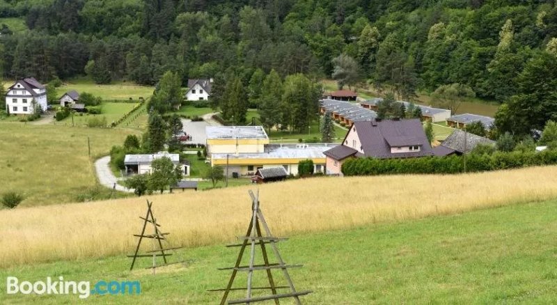 Andrzejowka