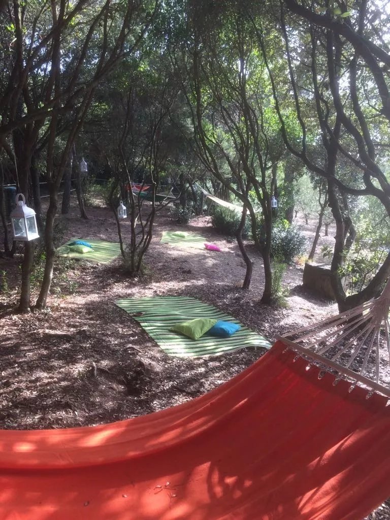 KM 2.VII