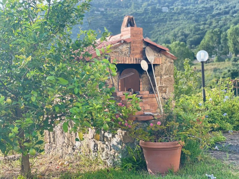 Altana
