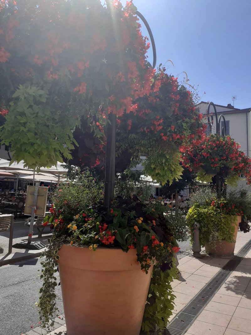 Coeur Vieil Antibes Plages A Pied