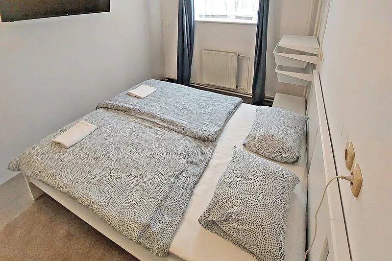 Beautiful Vila in Rožna dolina, fully renovated rooms