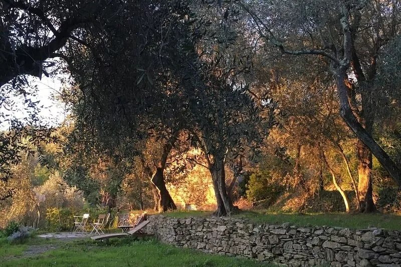 Romantic country house in the olive grove (1,060 sqm) - PARKING space on the
