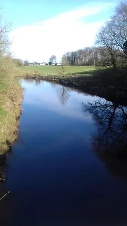 Shewalton Wood