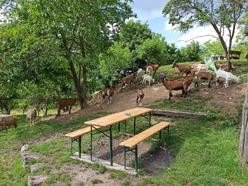 Obcerstveni na Kamenne Horce