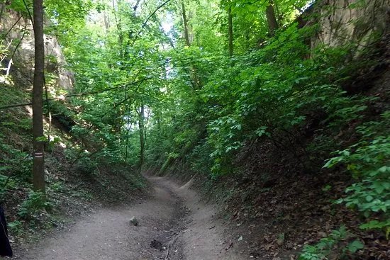 Parks & Nature