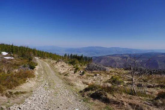 Park Krajobrazowy Beskidu Slaskiego/Beskid Slaski landscape park