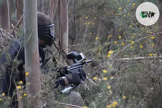 Wild Life Paintball E Lasertag