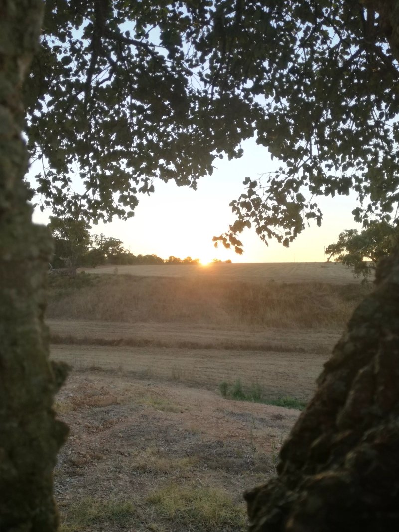 Vales do Alentejo