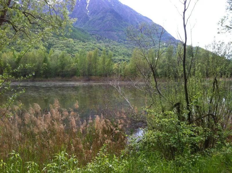 Riserva Naturale del Marais