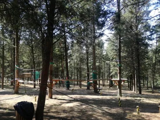 Parque de Cuerdas Burgos