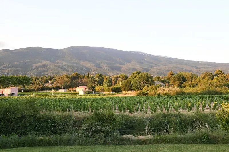 Bédoin/House with panoramic view of Mont Ventoux, Private swimming pool