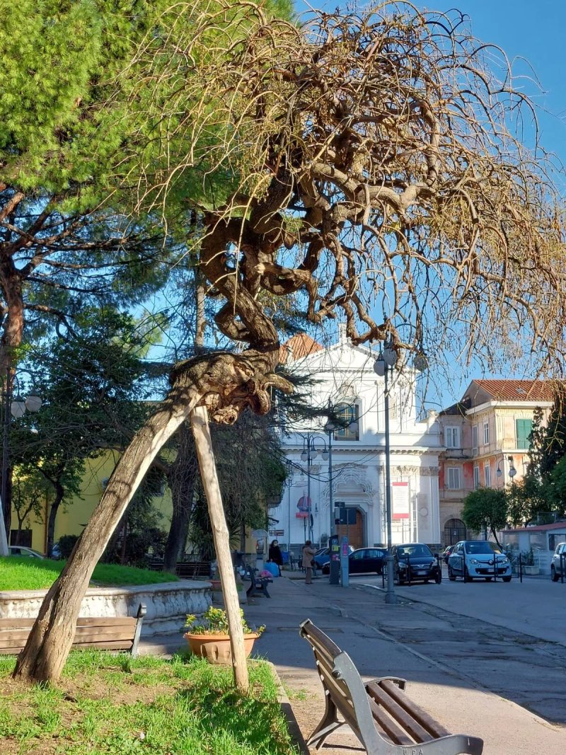 Parrocchia Insigne Collegiata di S. Giovanni Battista