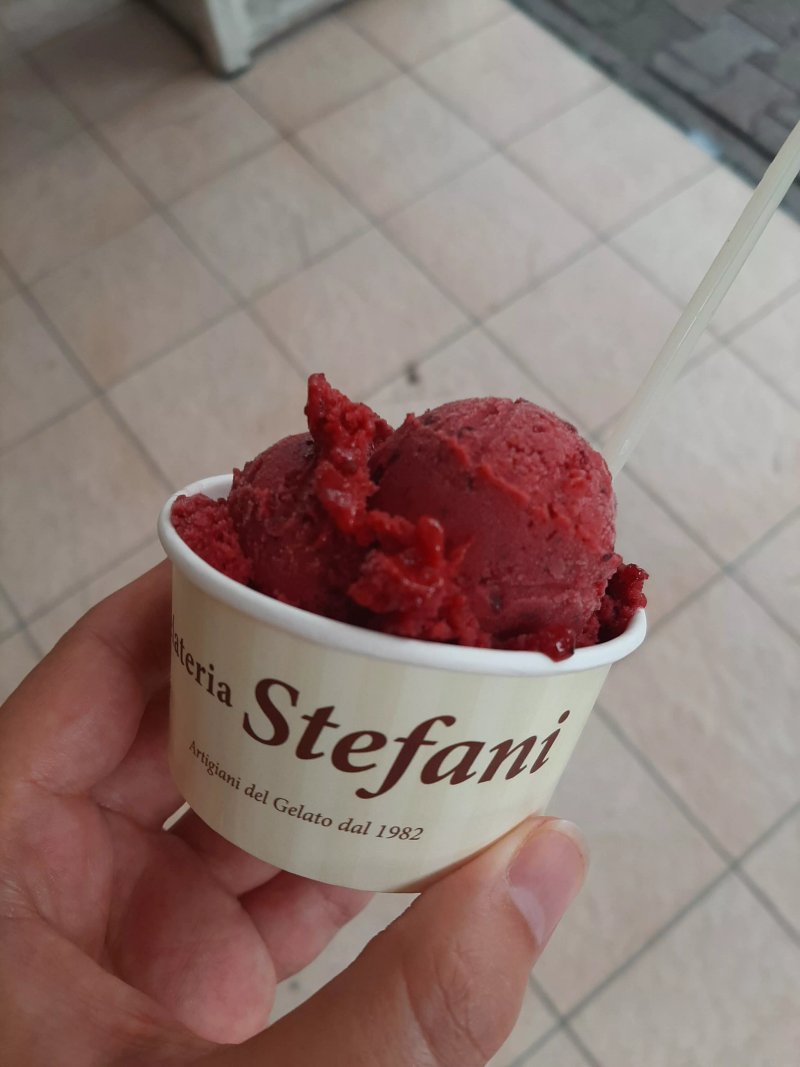 Gelateria "la Gelateria" Stefani