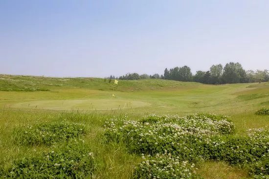 Daily Golf Buc-Toussus