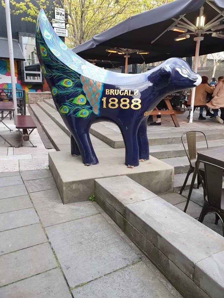 The Drumlin's SuperLambanana