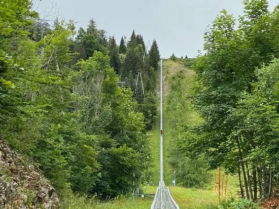 Descente en Luge sur Rails