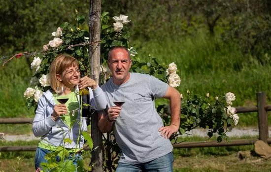 Amiata I Vini Del Vulcano