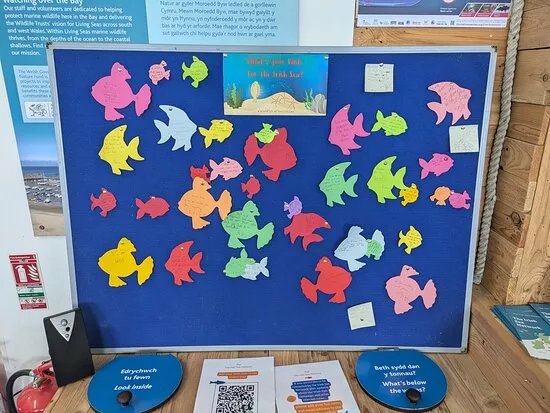 Cardigan Bay Marine Wildlife Centre