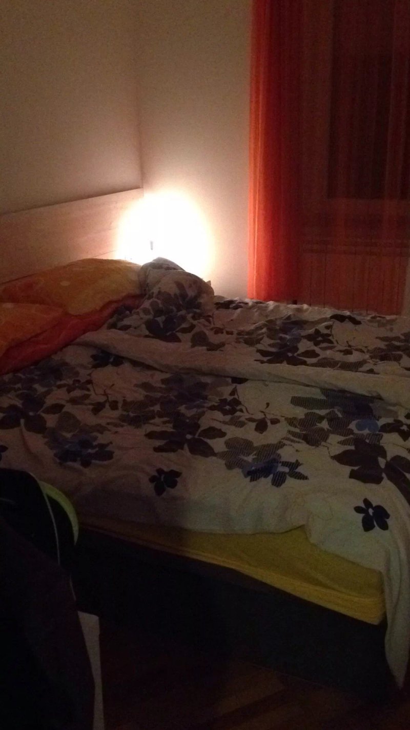 Apartments Bovec Dana