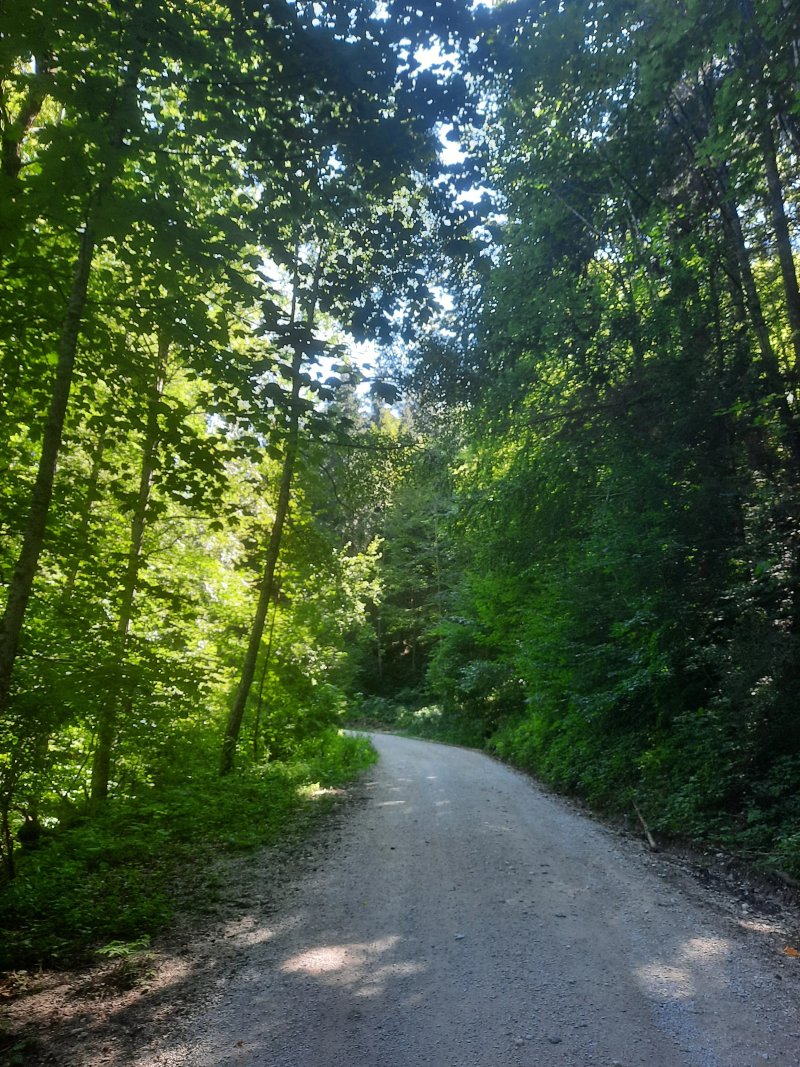 Almgasthof Hochsteinalm