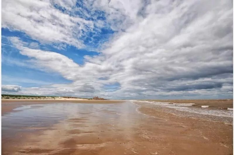 Seahorses, Brancaster, Norfolk