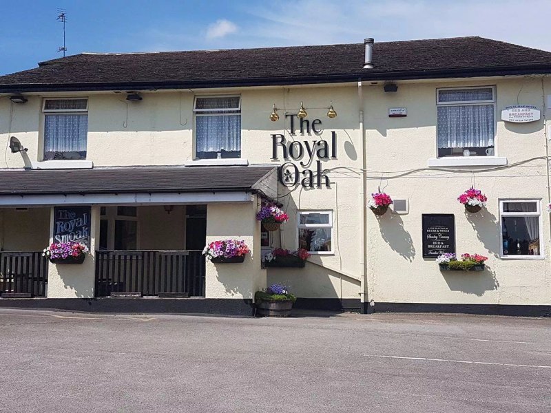 Royal Oak
