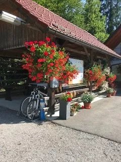 Kamp Polje