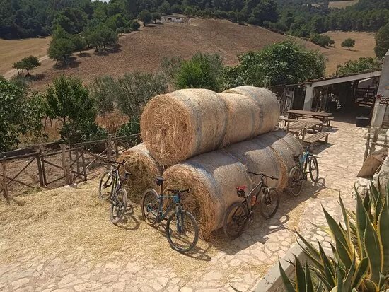 Gargano Bike Hub