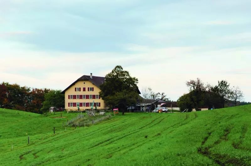 Ferme-restaurant Pierreberg