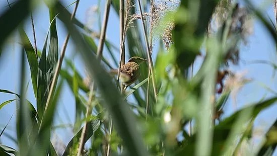 La Valle - Naturalistic Oasis