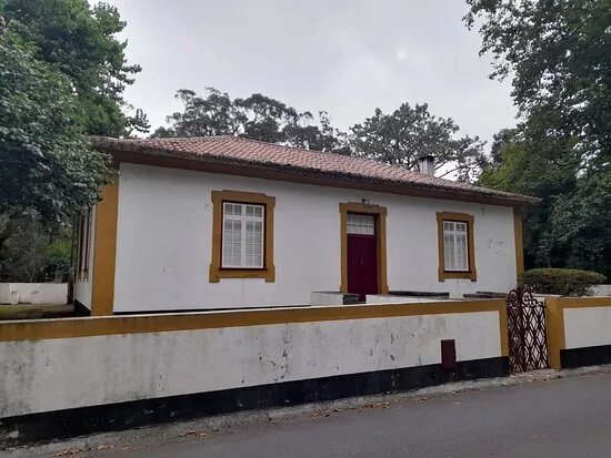 Mata da Serreta