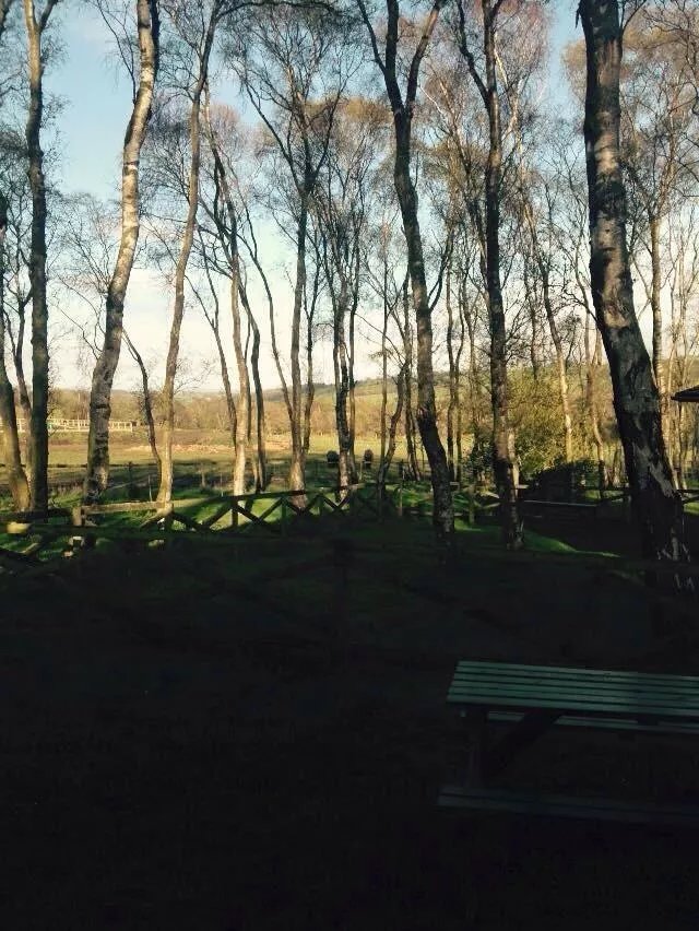 West Hoppyland Lodges