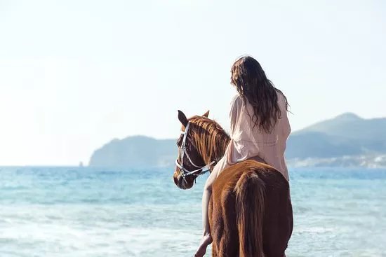 Efippos Horse Farm