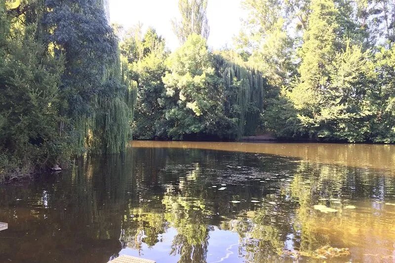 Newly renovated home for rental in the Loire Valley - Montreuil Bellay,