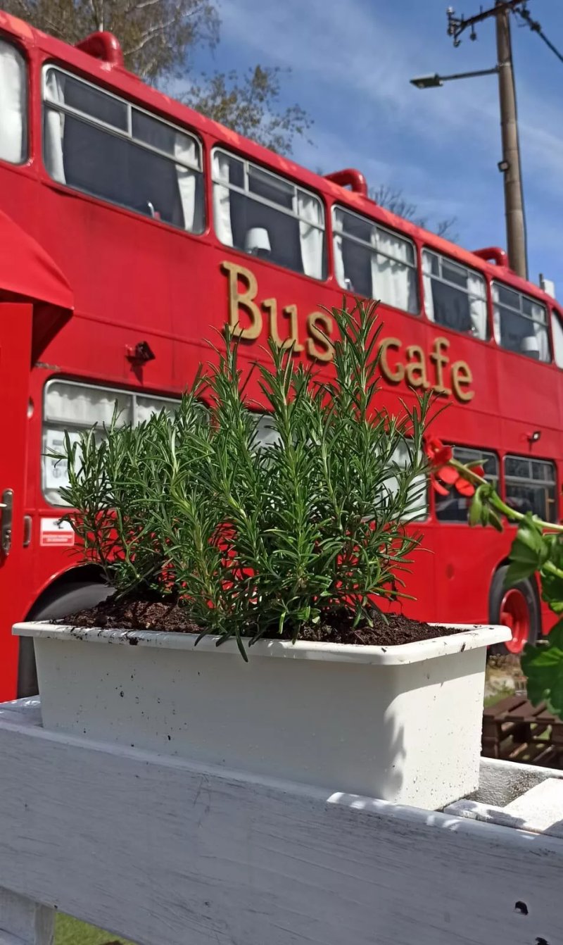 Bus Cafe